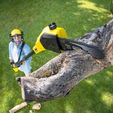 Best Pest Control for Lawns  in Junction, TX